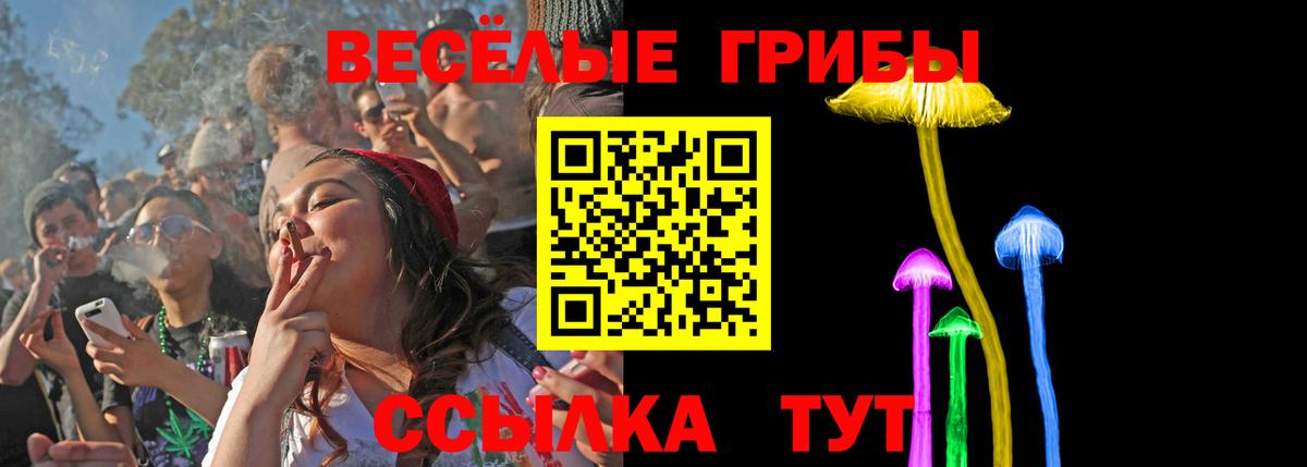 Псилоцибиновые грибы мицелий Курчатов