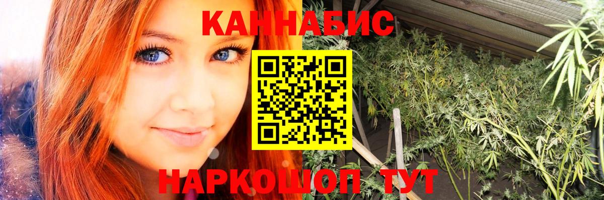 Курчатов  Канабис Ganja  Бошки Шишки индика  Бошки Шишки Bruce Banner  Вход с VPN 